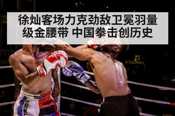 boxer training gloves