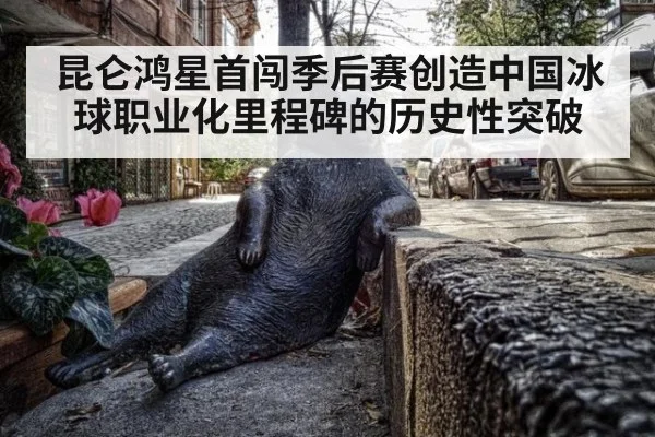 昆仑鸿星首闯季后赛创造中国冰球职业化里程碑的历史性突破